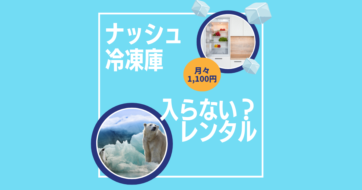 ナッシュ冷凍庫に入らない？レンタルなら月々1100円で20食も安心で収納！